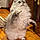 Pixel