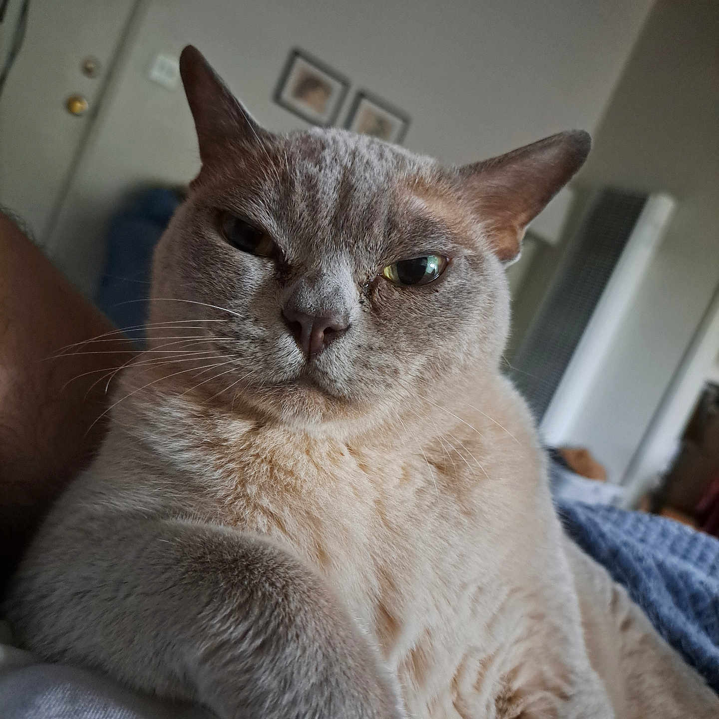 Ben