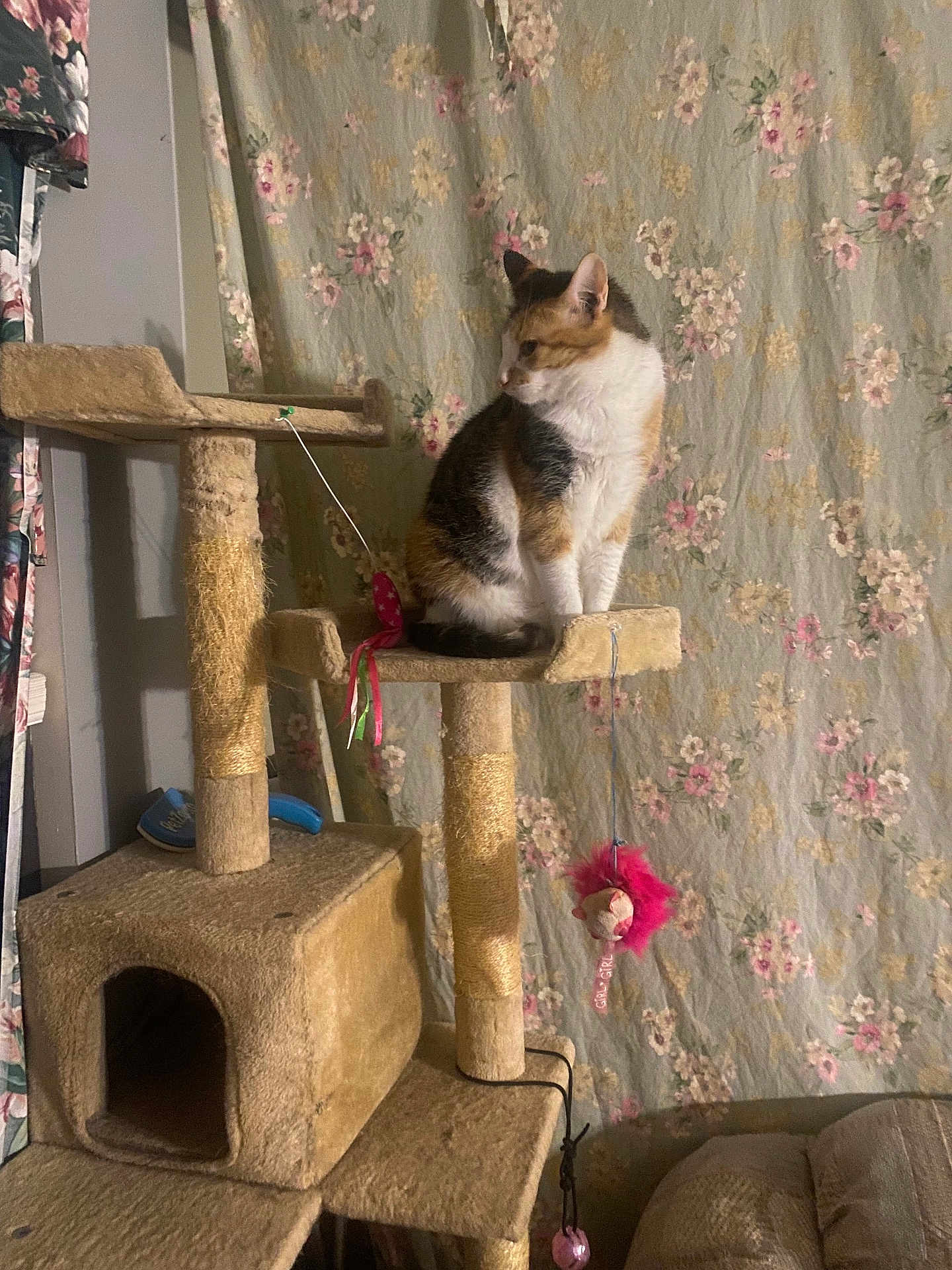 Princess