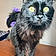 Jason Meowmowa