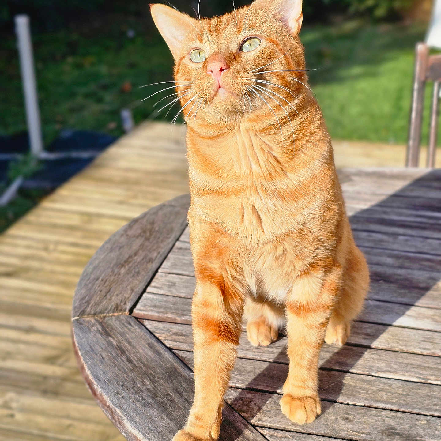 Riki