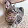Tabitha