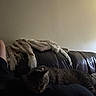 cat, tabby_cat, couch, blanket, indoor, resting, dark, leather, furniture, person, lap, cozy, relaxing, home, pet, animal, sleeping, quiet, soft, casual
