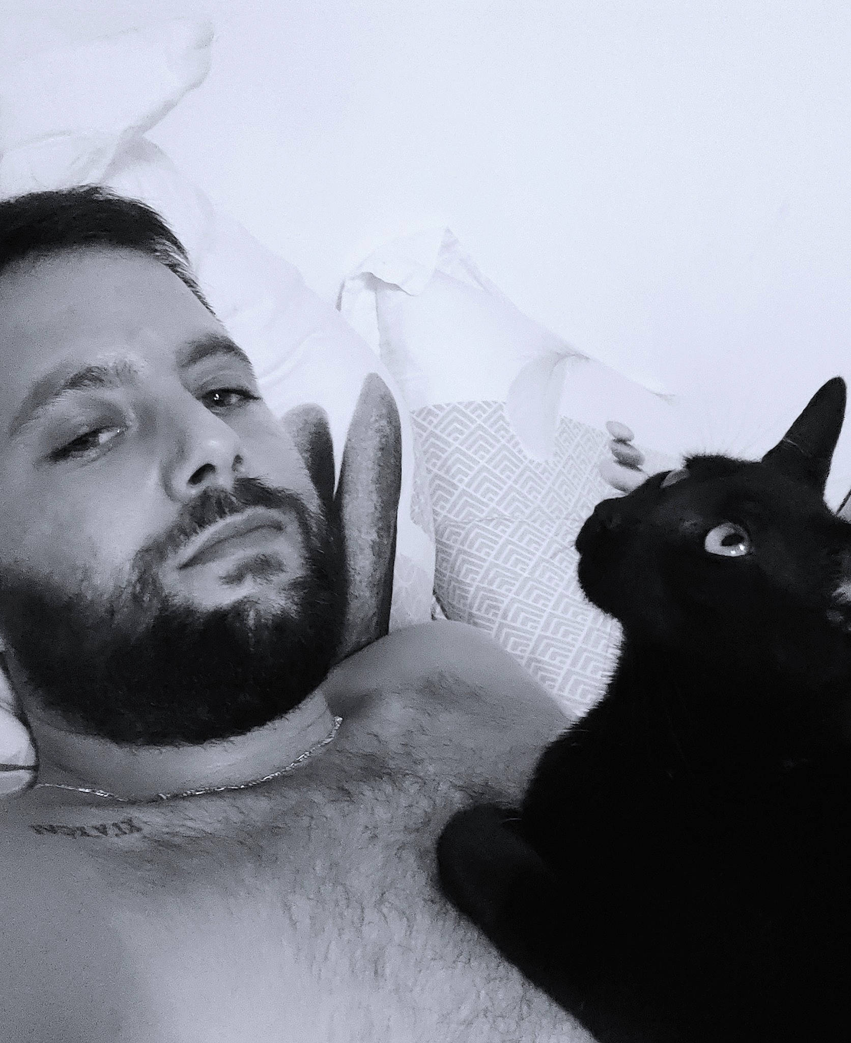 Diavola a rejoint le concours — aidez-le/la à gagner de superbes lots ! arm, beard, black, cat, eye, eyebrow, flash_photography, hair, hairstyle, hand, human, human_body, jaw, mouth, neck, organ, shoulder, skin, vertebrate, white