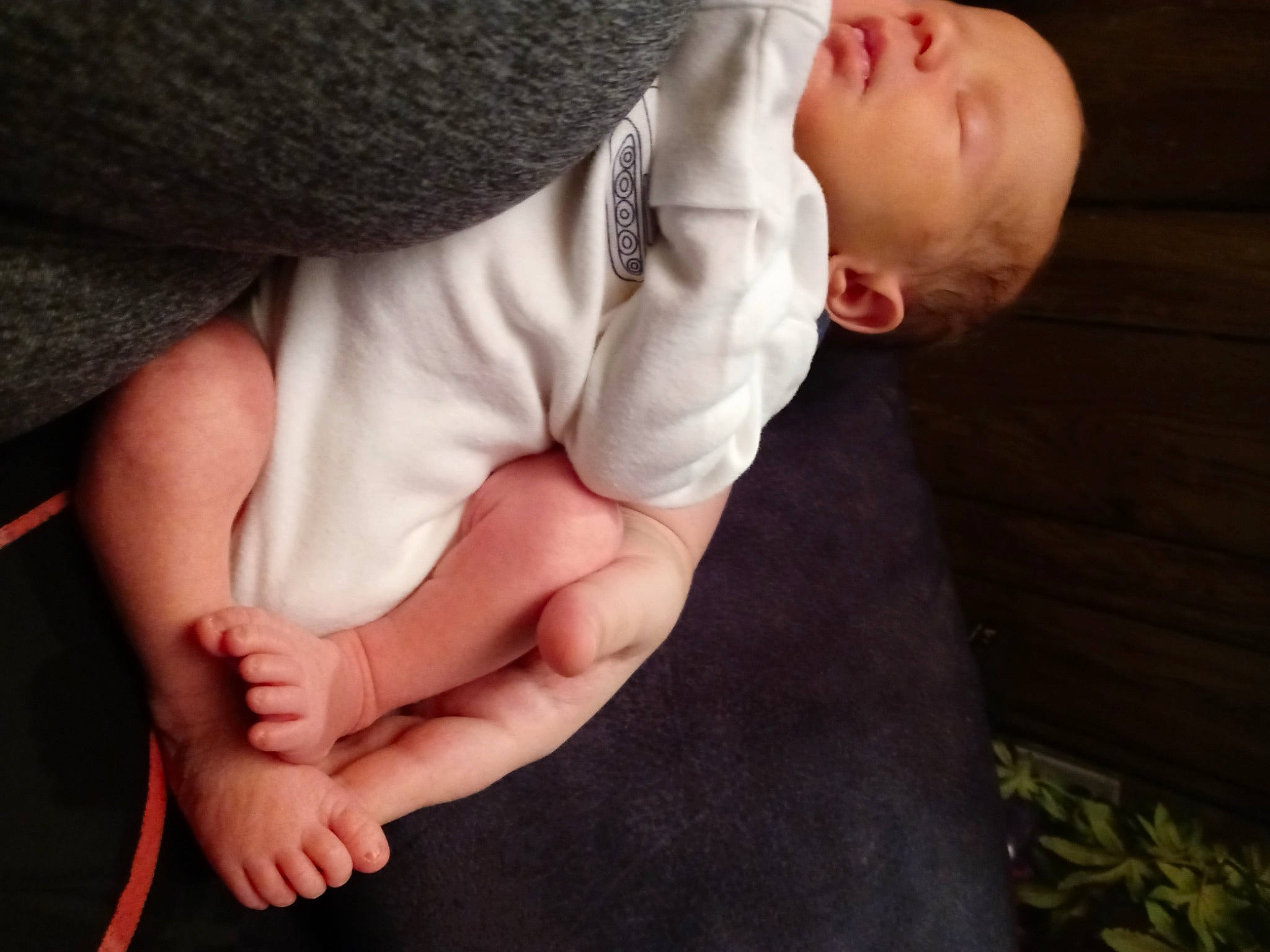 Hunter is registered to the contest to win money with this photo: arm, baby, baby_toddler_clothing, child, comfort, elbow, finger, flash_photography, gesture, hand, happy, holding_hands, human_leg, nail, organ, person, skin, sleeve, thumb, toddler