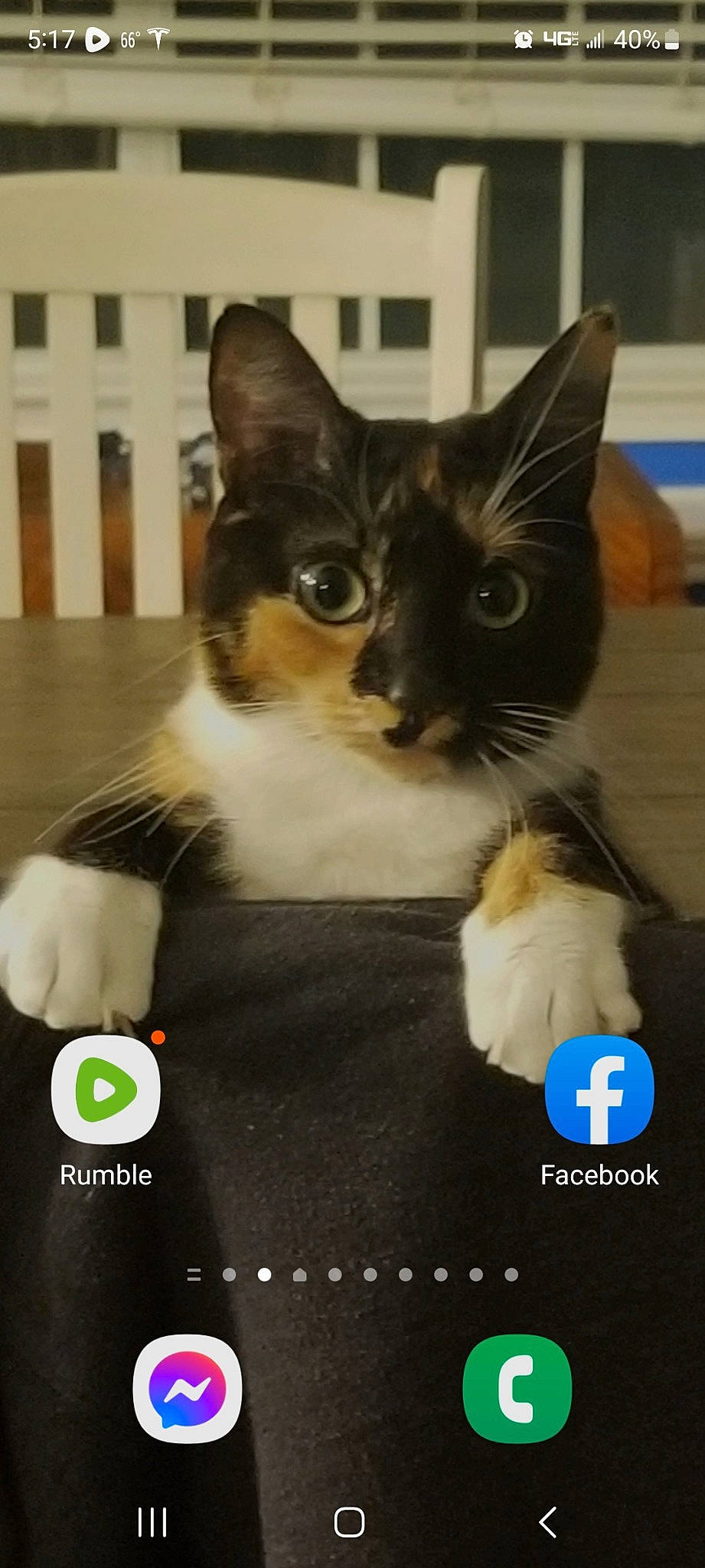 Bug