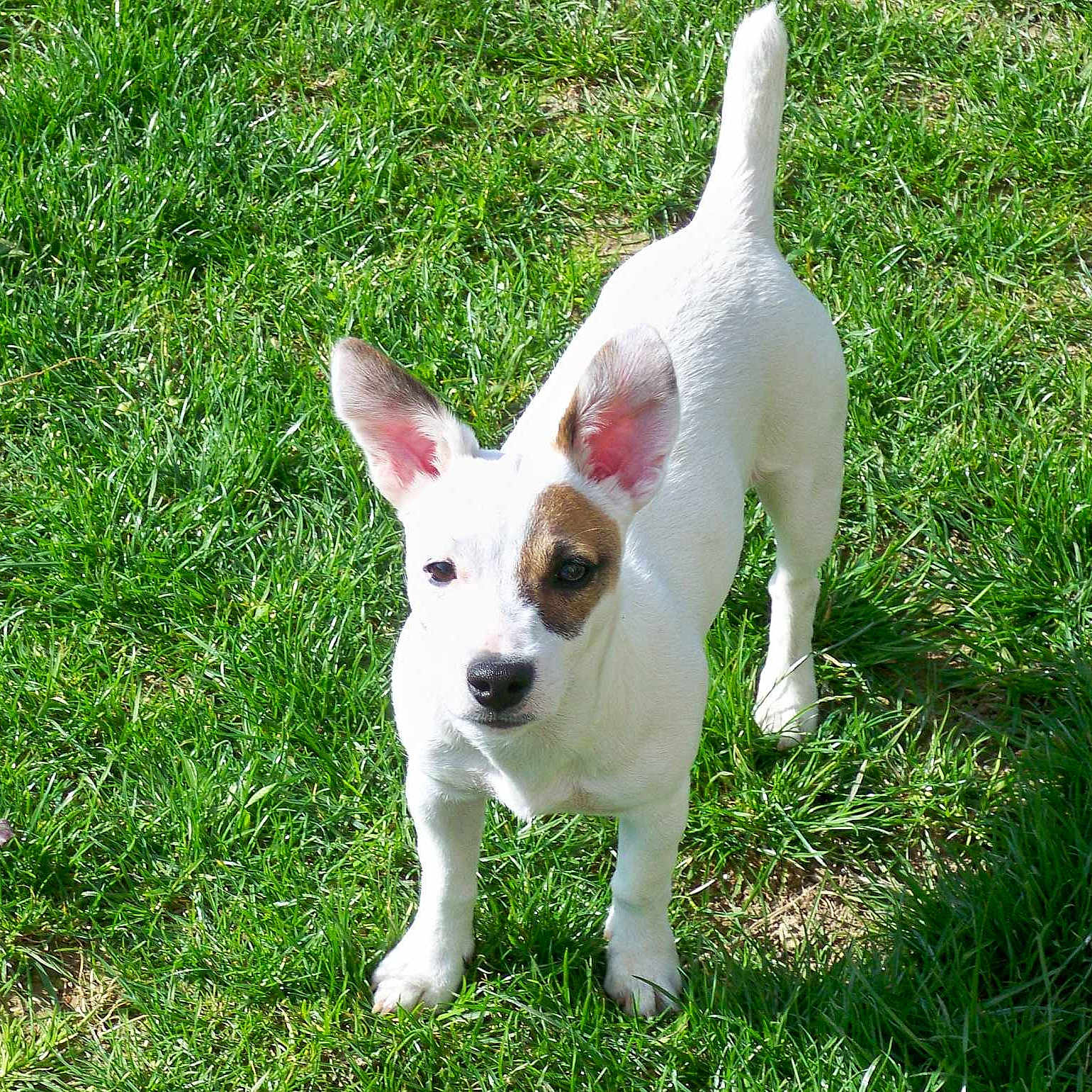 Inès a rejoint le concours — aidez-le/la à gagner de superbes lots !