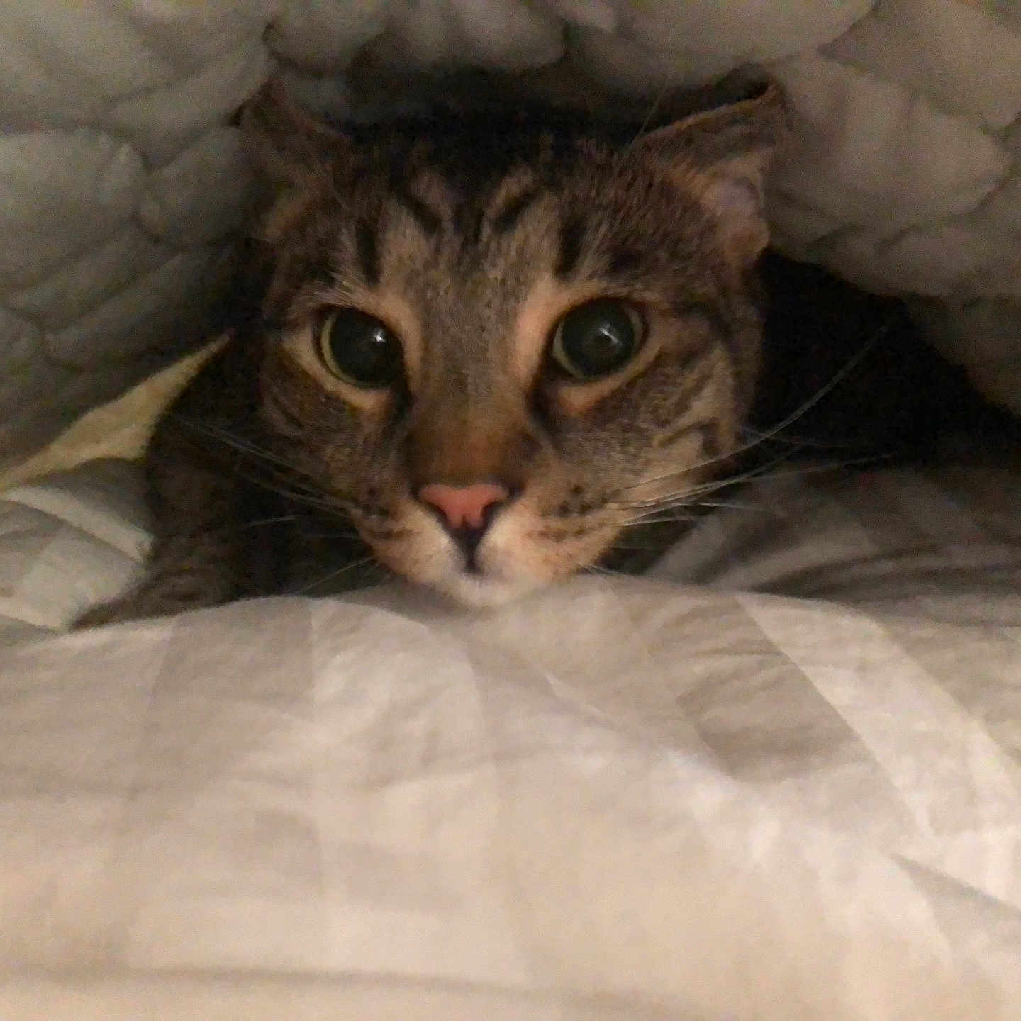 Duncan