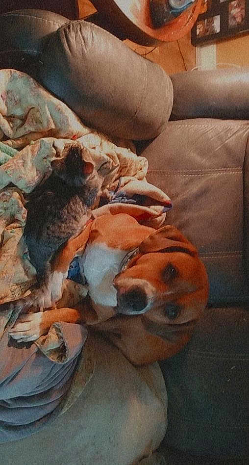 Copper