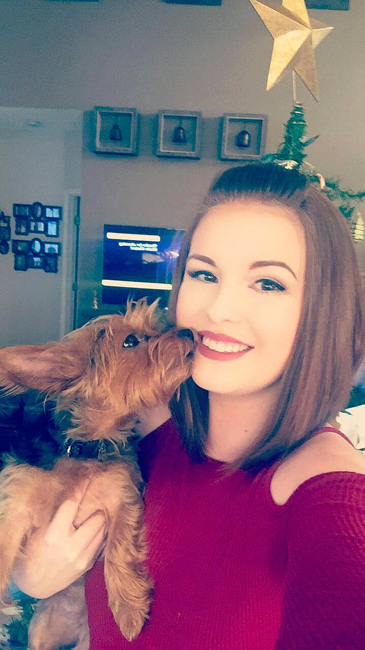 Jazz joined the competition — help win amazing prizes! australian_terrier, blond, brown_hair, cairn_terrier, canidae, carnivore, companion_dog, dog, dog_breed, ear, happy, long_hair, maltepoo, morkie, puppy_love, selfie, skin, terrier, yorkshire_terrier