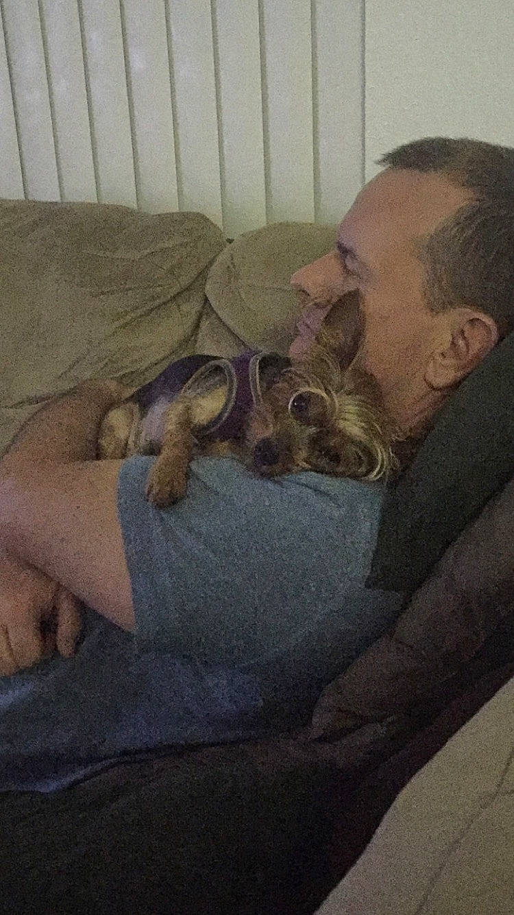 Jazz joined the competition — help win amazing prizes! birth, canidae, carnivore, comfort, companion_dog, dog, dog_breed, fawn, glasses, human, muscle, nap, sleep, sporting_group