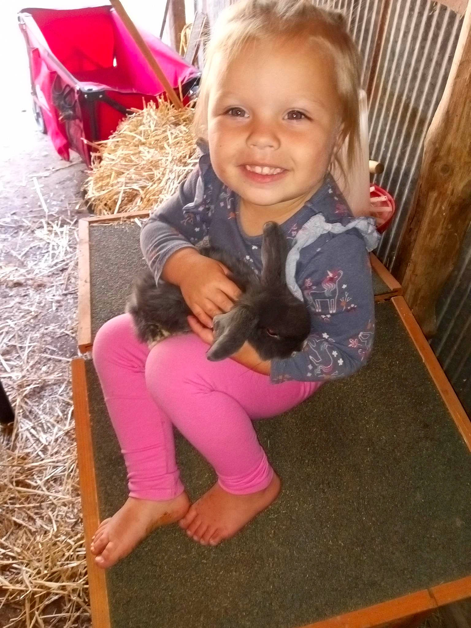 Nila joined the competition — help win amazing prizes! baby_toddler_clothing, chair, child, fawn, finger, foot, fun, happy, human_leg, joy, leg, leisure, magenta, person, pink, sitting, skin, smile, thigh, thumb