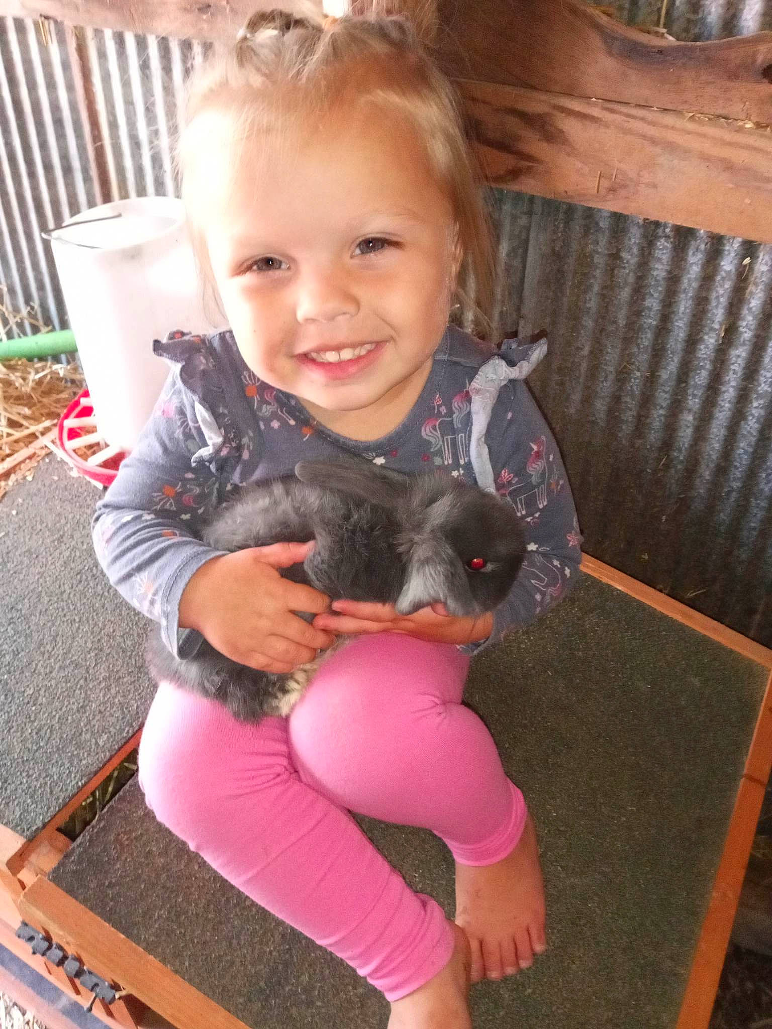 Nila is registered to the contest to win money with this photo: carnivore, chair, child, companion_dog, dog_breed, eye, fawn, fun, hair, hairstyle, happy, human_leg, joy, lap, leisure, person, pink, skin, smile, thigh