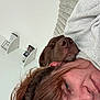 Athena joined the competition — help win amazing prizes! person, dog, brown_dog, face, smile, resting, couch, cozy, snuggling, indoor, relaxation, home, sweater, hair, nose_ring, furniture, shelf, picture_frame, blank_wall, close_up