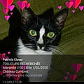 patriciaciucci1