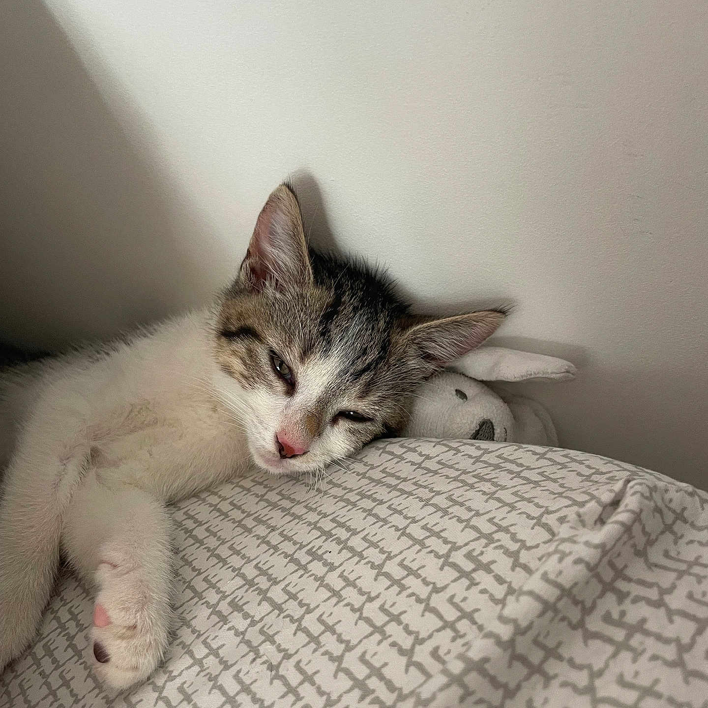 Bella