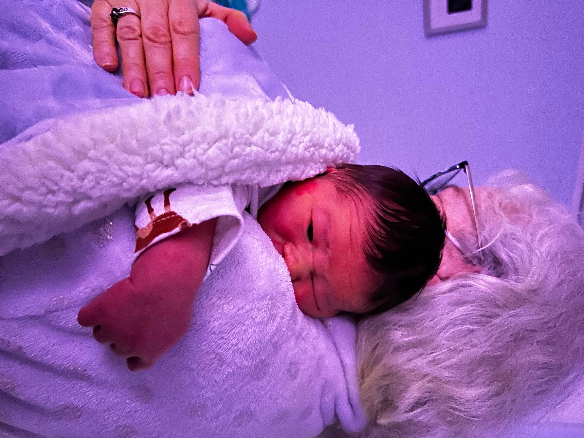 Kyro joined the competition — help win amazing prizes! baby, baby_toddler_clothing, blue, cheek, child, comfort, ear, eyelash, finger, gesture, happy, iris, magenta, person, pink, purple, room, skin, textile, toddler