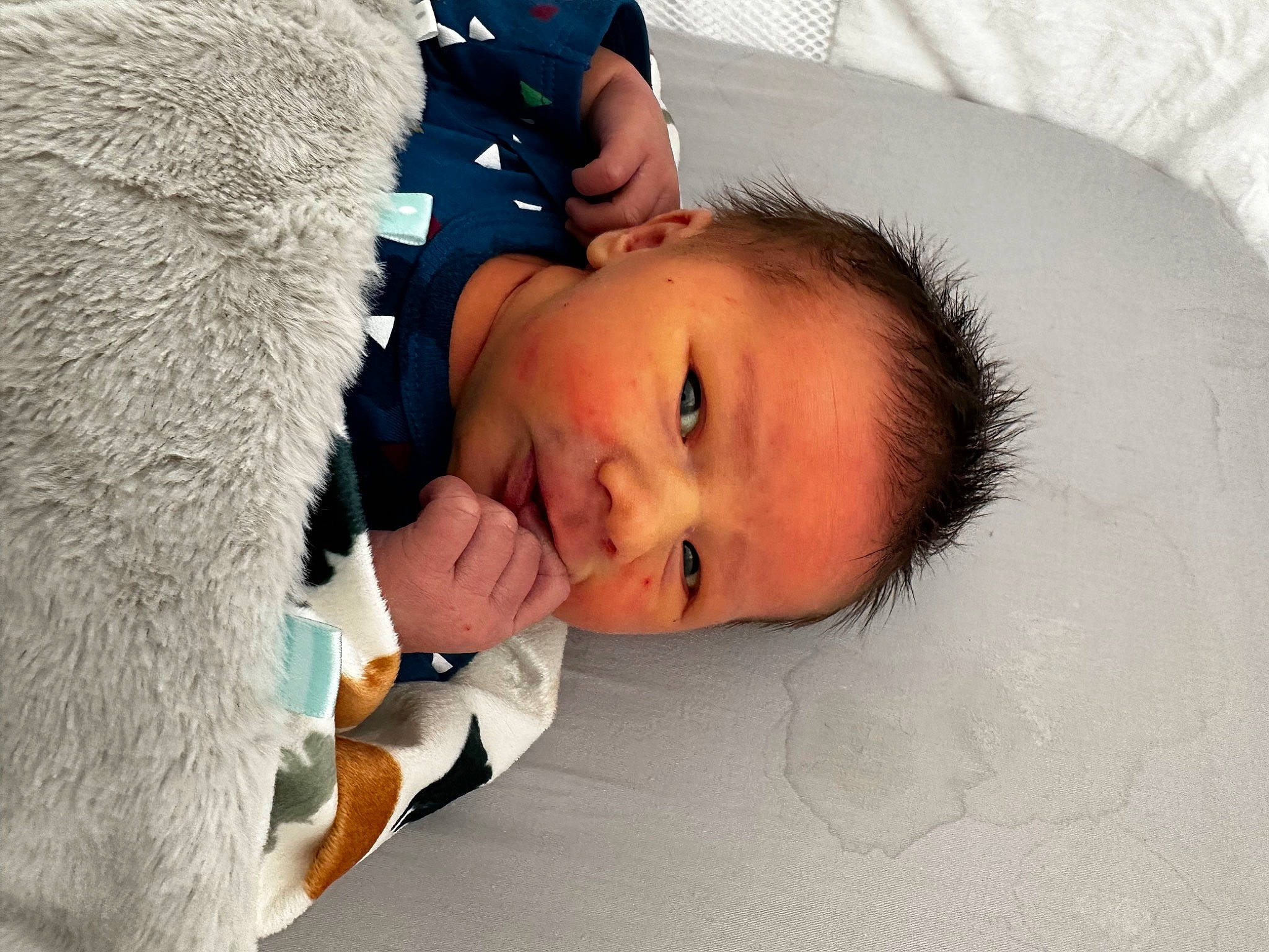 Kyro is registered to the contest to win money with this photo: abdomen, bedding, bedtime, child, comfort, couch, ear, eyelash, fur, happy, linens, lip, nap, nose, person, room, skin, sleep, stuffed_toy