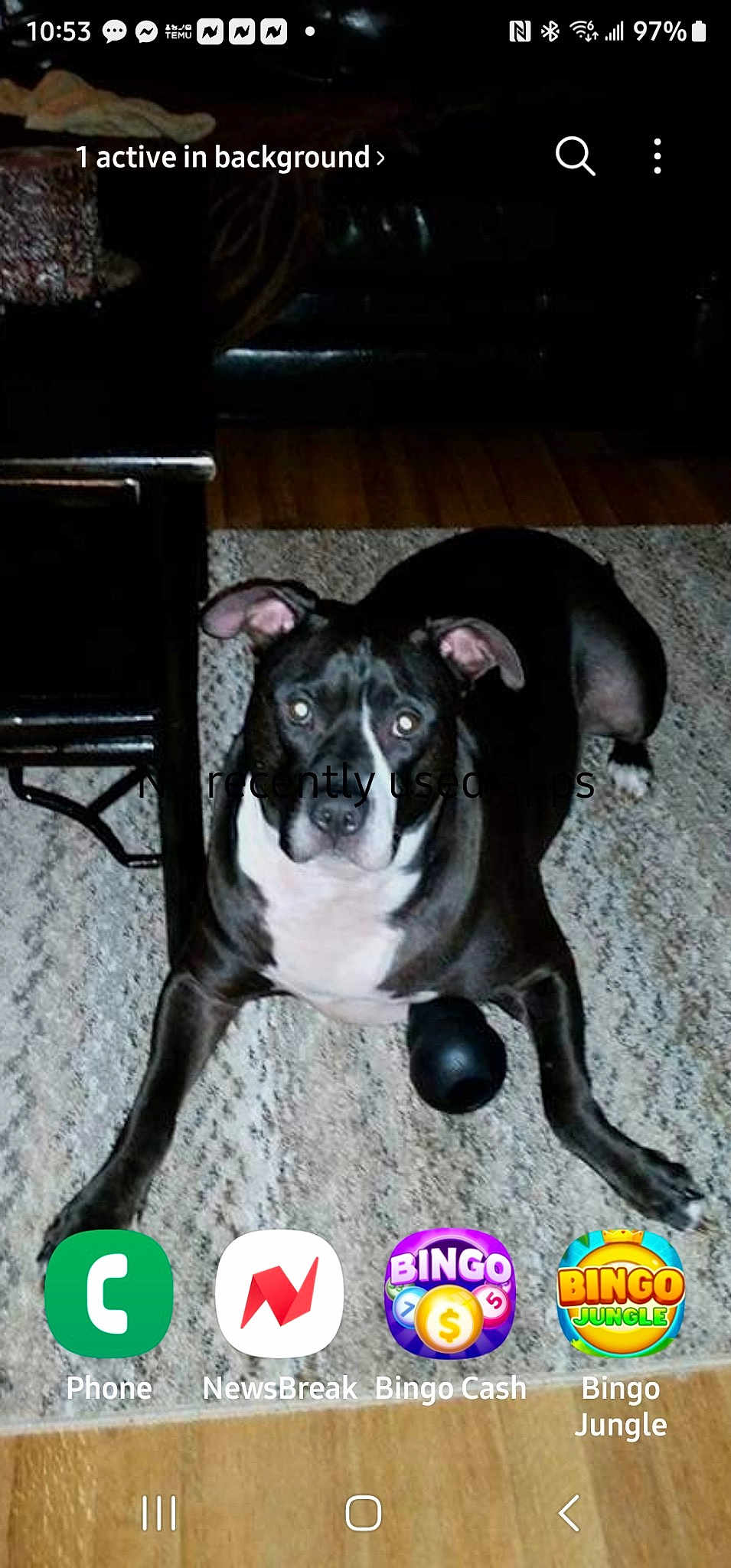 Ryder