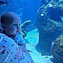 baby, child, person, underwater, aquarium, fish, coral, rock, blue, water, marine_life, gazing, curious, floral_clothing, holding, portrait, indoor, closeup, head, arm