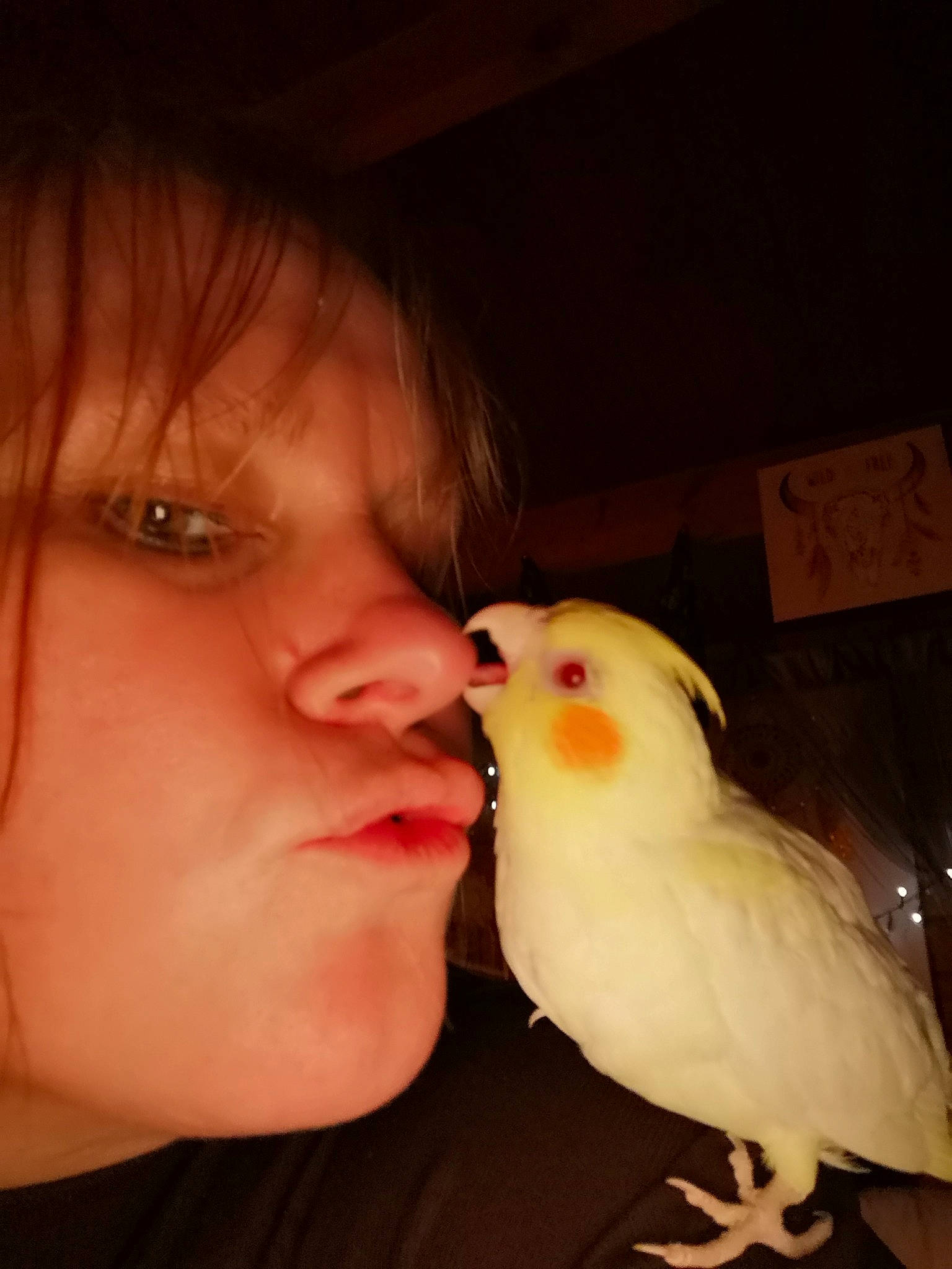 Christ a rejoint le concours — aidez-le/la à gagner de superbes lots ! beak, bird, budgie, cheek, cockatiel, cockatoo, eye, face, feather, hand, head, lip, mouth, neck, nose, parakeet, parrot, person, skin