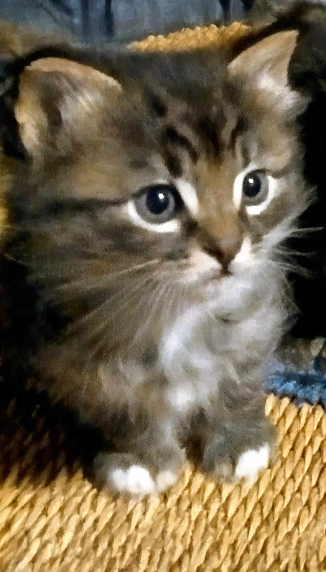 Charlie