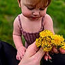 River is registered to the contest to win money with this photo: child, closeup, clothing, curious, cute, dandelion, daylight, flower, grass, green_background, hand, holding, nature, outdoor, person, portrait, red_hair, skin, summer, toddler