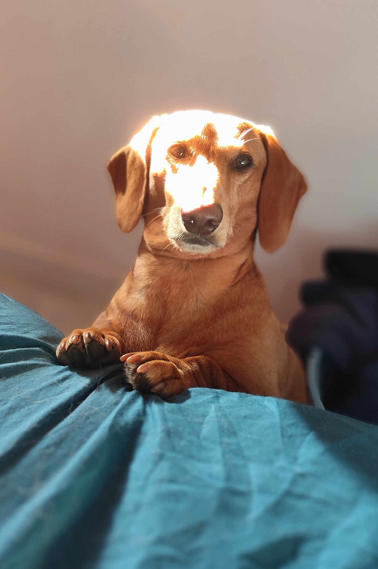 Reiky