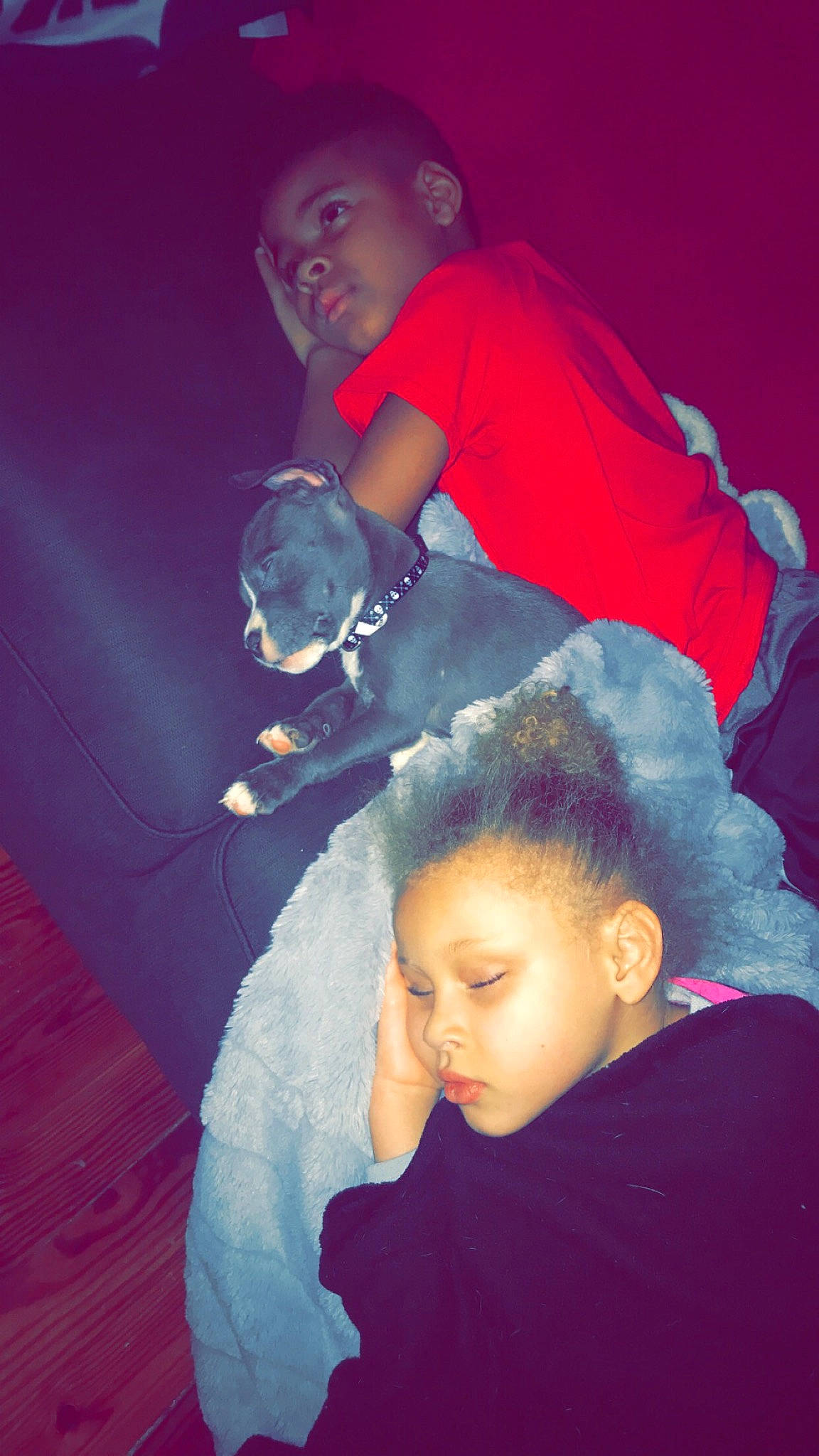 Ceaser joined the competition — help win amazing prizes! beauty, black, blue, child, emotion, eye, face, fun, girl, hair, head, human, human_body, person, photography, pink, purple, red, skin, smile