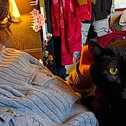 Bear joined the competition — help win amazing prizes! animal, black_cat, casual, cat, clothing, colorful_clothes, cozy, curly_hair, face, furniture, home, indoor, lamp, looking, person, pet, portrait, relaxed, sweater, yellow_eyes