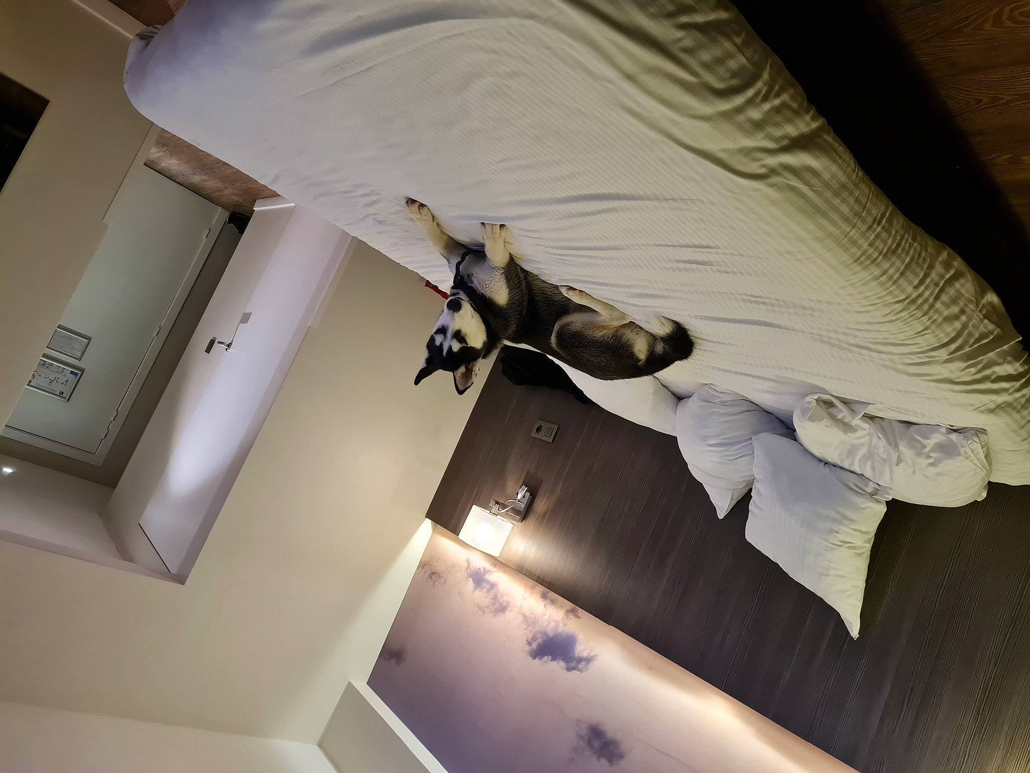 Raïky participe au concours pour gagner de l'argent avec cette photo : bedding, bedroom, building, ceiling, comfort, curtain, elbow, event, flooring, hardwood, interior_design, light_fixture, lighting_accessory, linens, paper, room, shade, tints_and_shades, window, wood