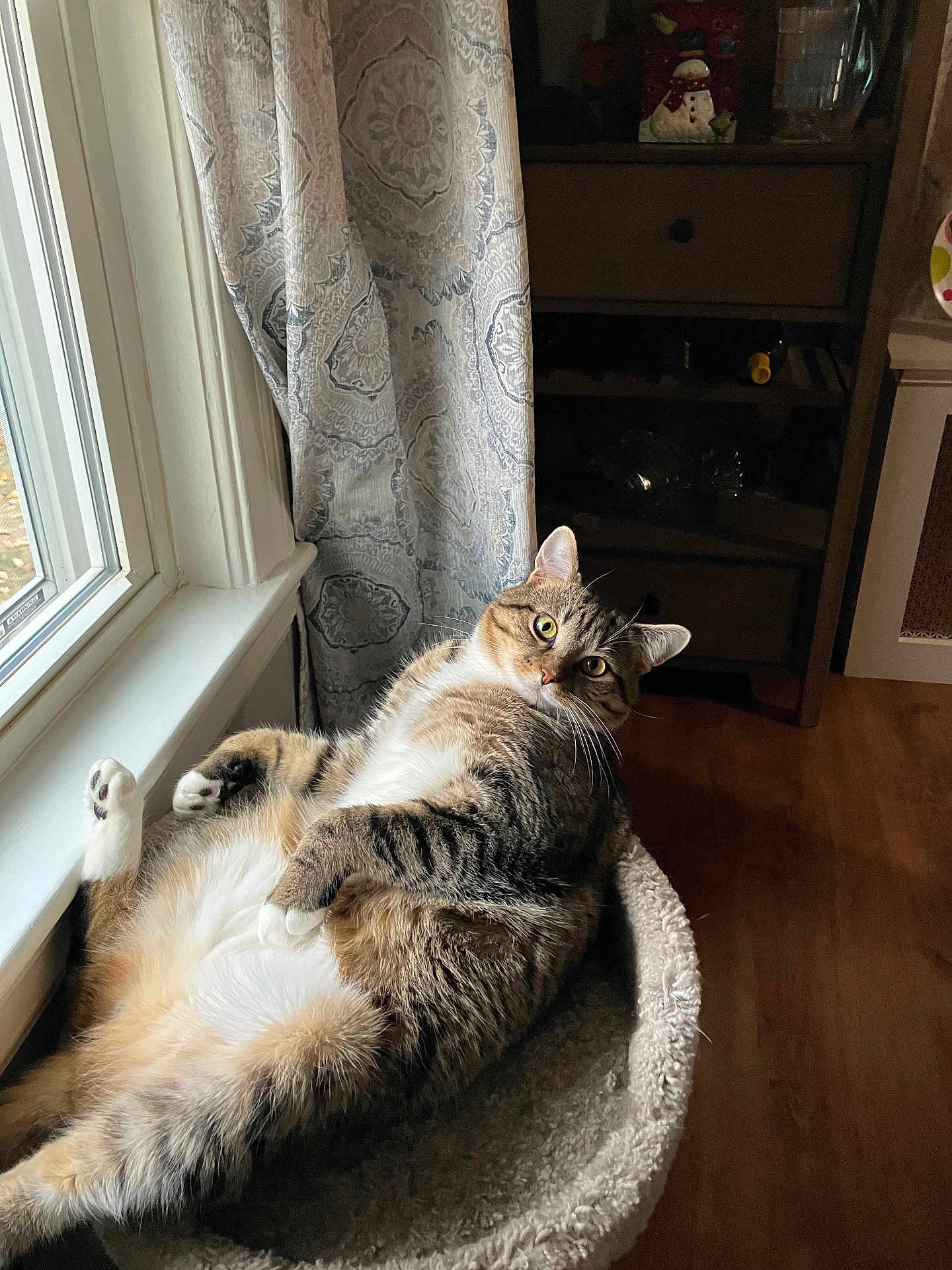 Zeus