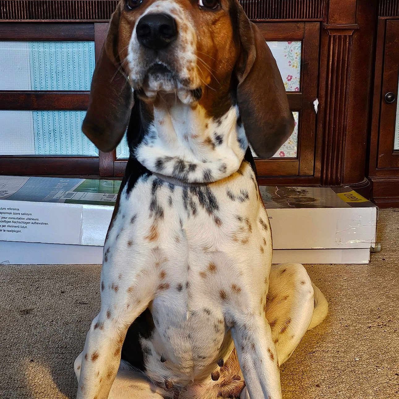 Delilah