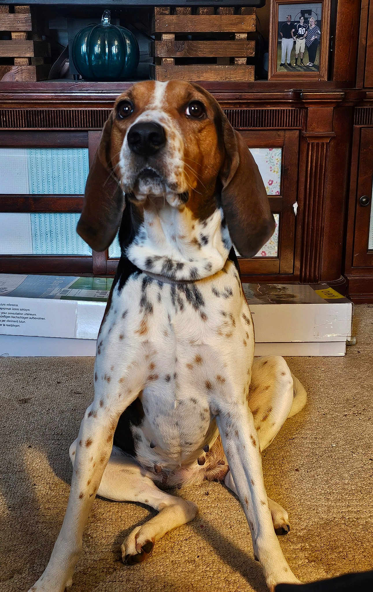 Delilah