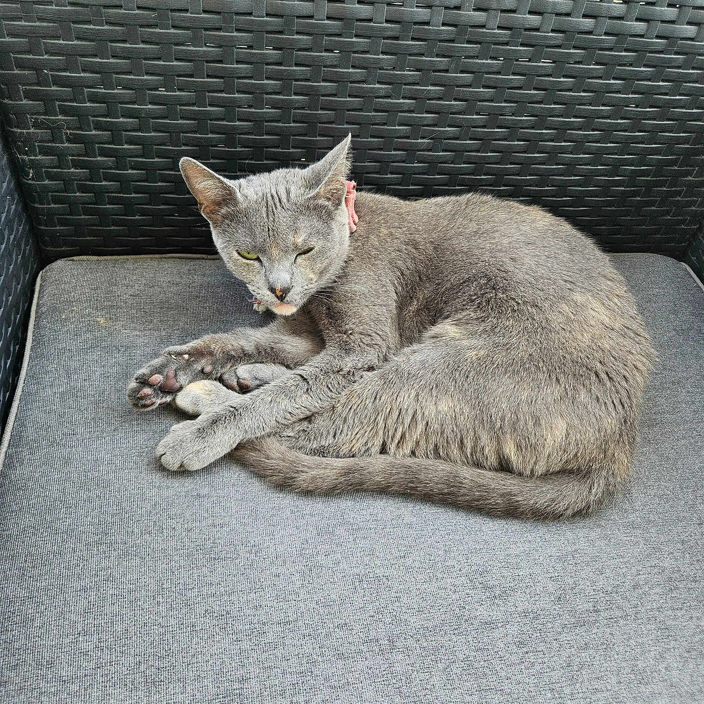 Vaïna