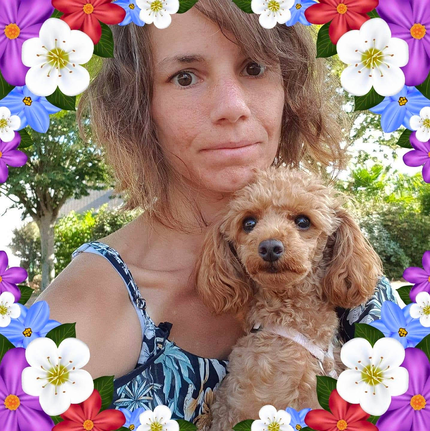 Mixye participe au concours pour gagner de l'argent avec cette photo : carnivoran, cavachon, child, cockapoo, companion_dog, dog, dog_breed, dog_like_mammal, floral_design, flower, flower_arranging, headwear, person, poodle, puppy, puppy_love, spring, vertebrate