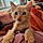 Abricot