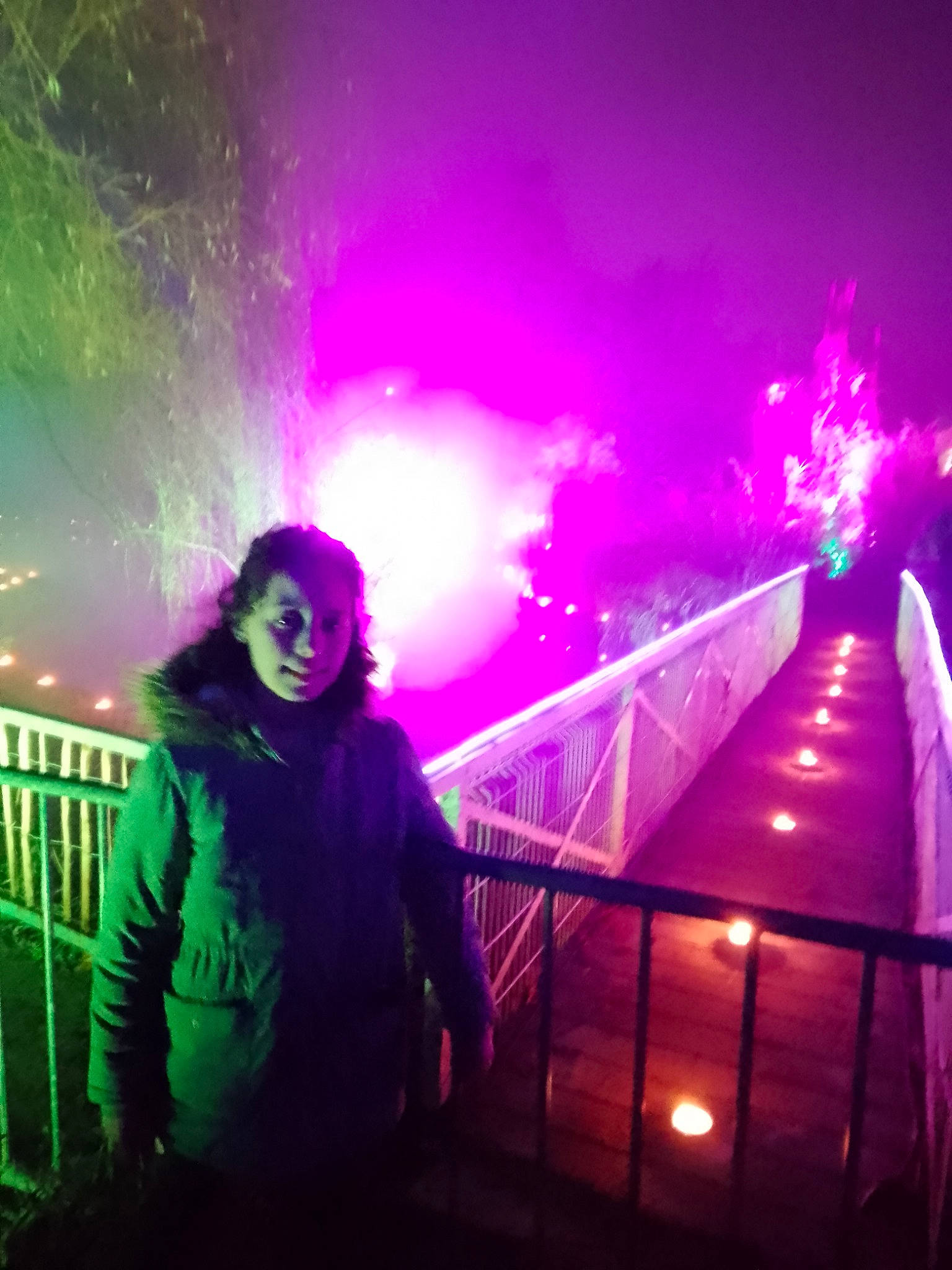 Maissa participe au concours pour gagner de l'argent avec cette photo : electric_blue, electricity, entertainment, event, eyewear, flash_photography, fun, green, lens_flare, light, line, magenta, midnight, person, pink, purple, sky, tree, violet, visual_effect_lighting