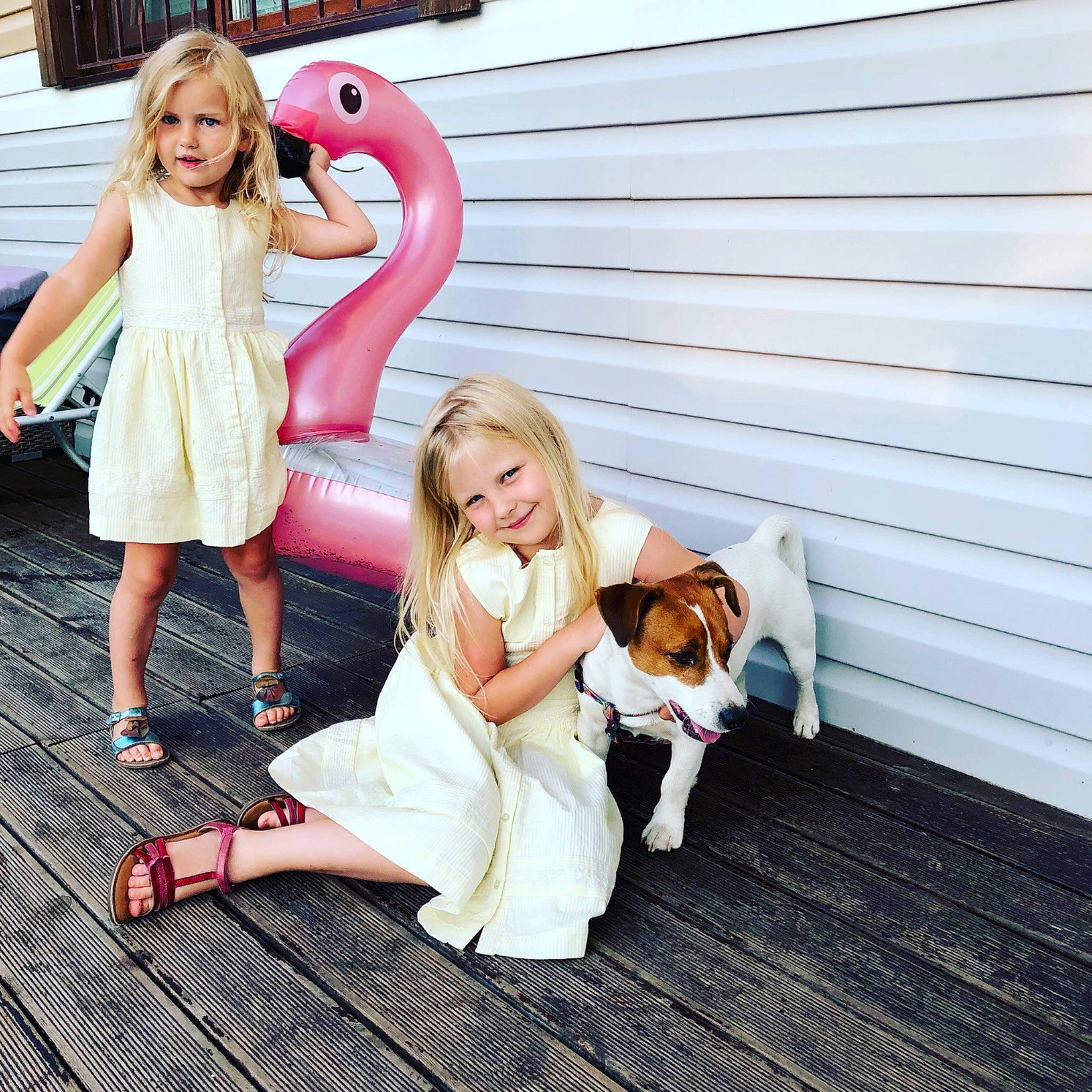 Stefani a rejoint le concours — aidez-le/la à gagner de superbes lots ! carnivore, companion_dog, dog, dog_breed, doll, dress, eye, fawn, flooring, formal_wear, hair, happy, head, joy, leisure, person, pink, sandal, shoe, sunglasses