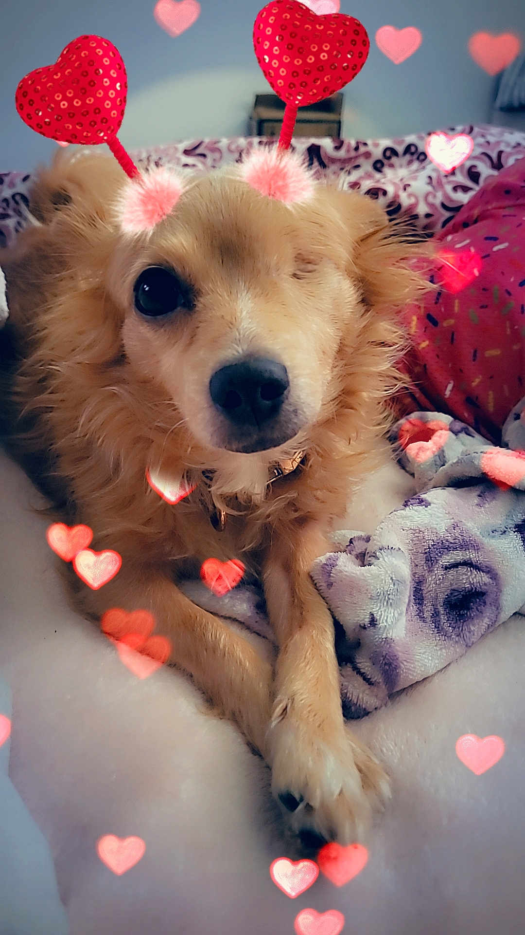 Skye
