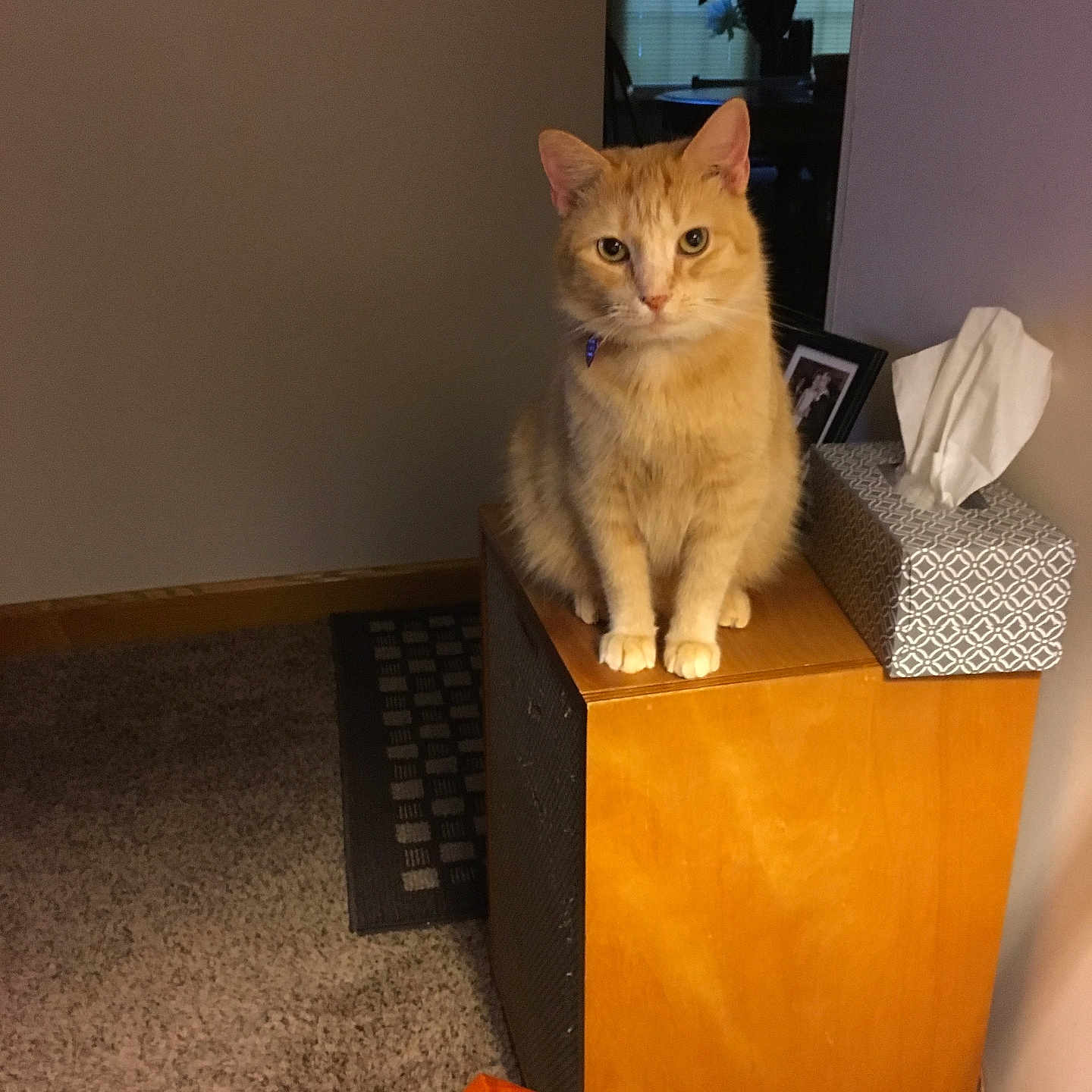Murphy