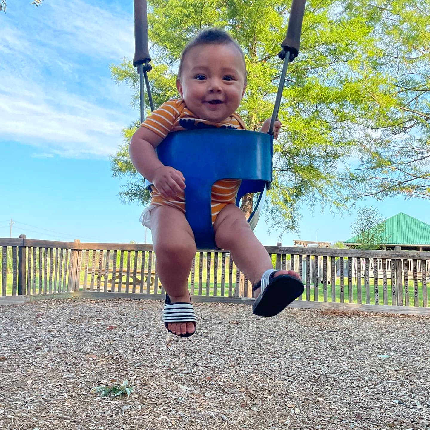 Aiden Juan joined the competition — help win amazing prizes! backyard, clothing, face, footwear, grass, head, nature, outdoorplayarea, outdoors, park, person, photography, plant, playarea, portrait, sandal, shoe, sitting, tree, yard