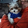 blue_clothing, closeup, companion, couch, cuddling, dog, fluffy, furniture, glasses, indoor, living_room, long_hair, man, orange_hoodie, person, pet, portrait, puppy, small_dog, wall_art