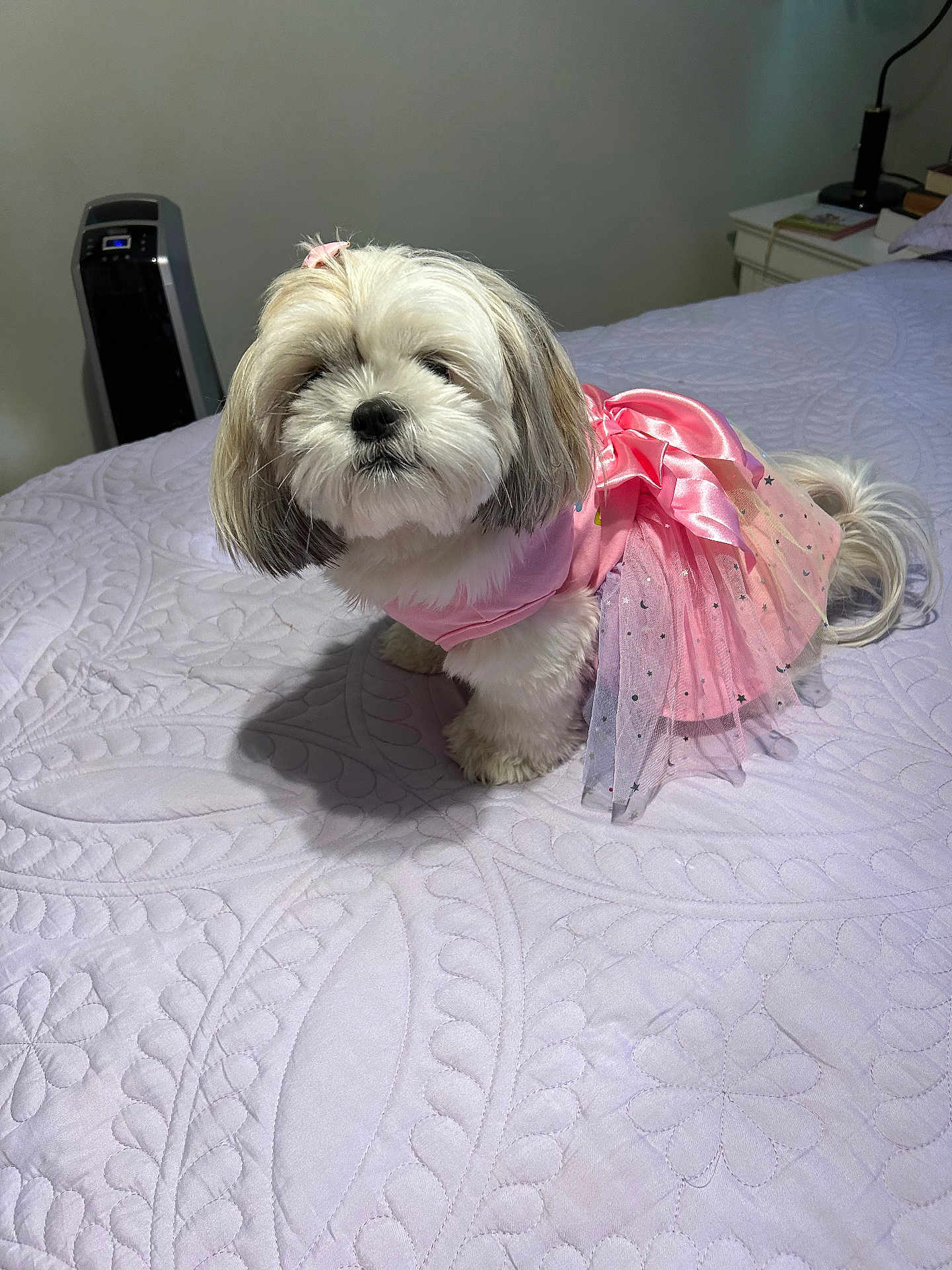 Bella