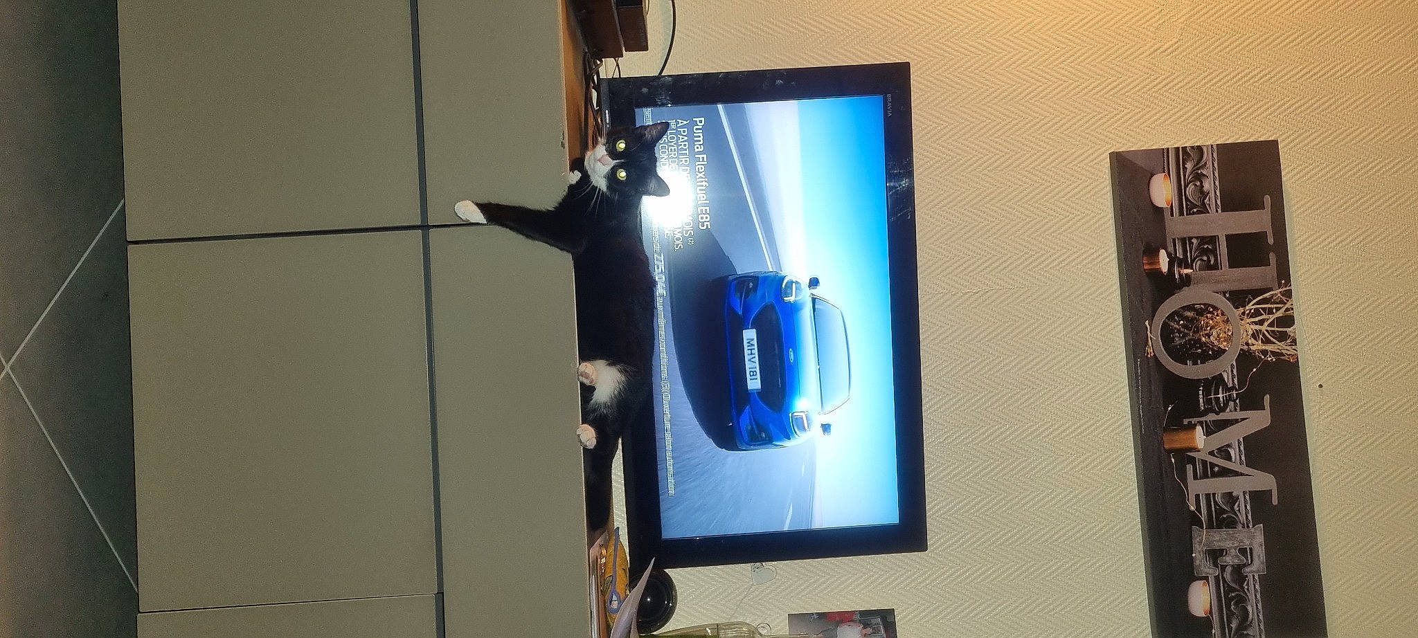 Zoro a rejoint le concours — aidez-le/la à gagner de superbes lots ! art, audio_equipment, automotive_design, computer_monitor_accessory, desktop_computer, display_device, electric_blue, electronic_device, flat_panel_display, font, gadget, led_backlit_lcd_display, machine, multimedia, output_device, presentation, projection_screen, projector_accessory, television_set, video_projector