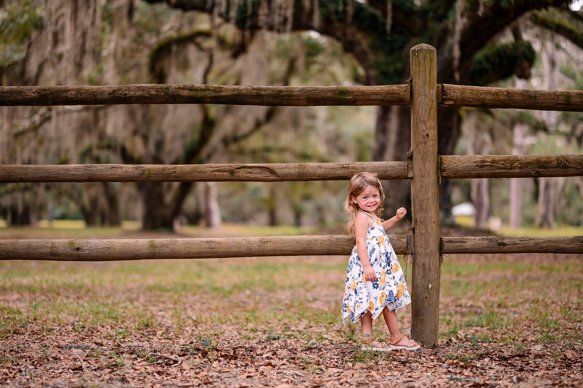 Lyla is registered to the contest to win money with this photo: baby_toddler_clothing, dress, fawn, fence, flash_photography, grass, grass_family, grassland, happy, joy, landscape, leaf, leisure, mammal, meadow, people_in_nature, person, plant, sunlight, toddler