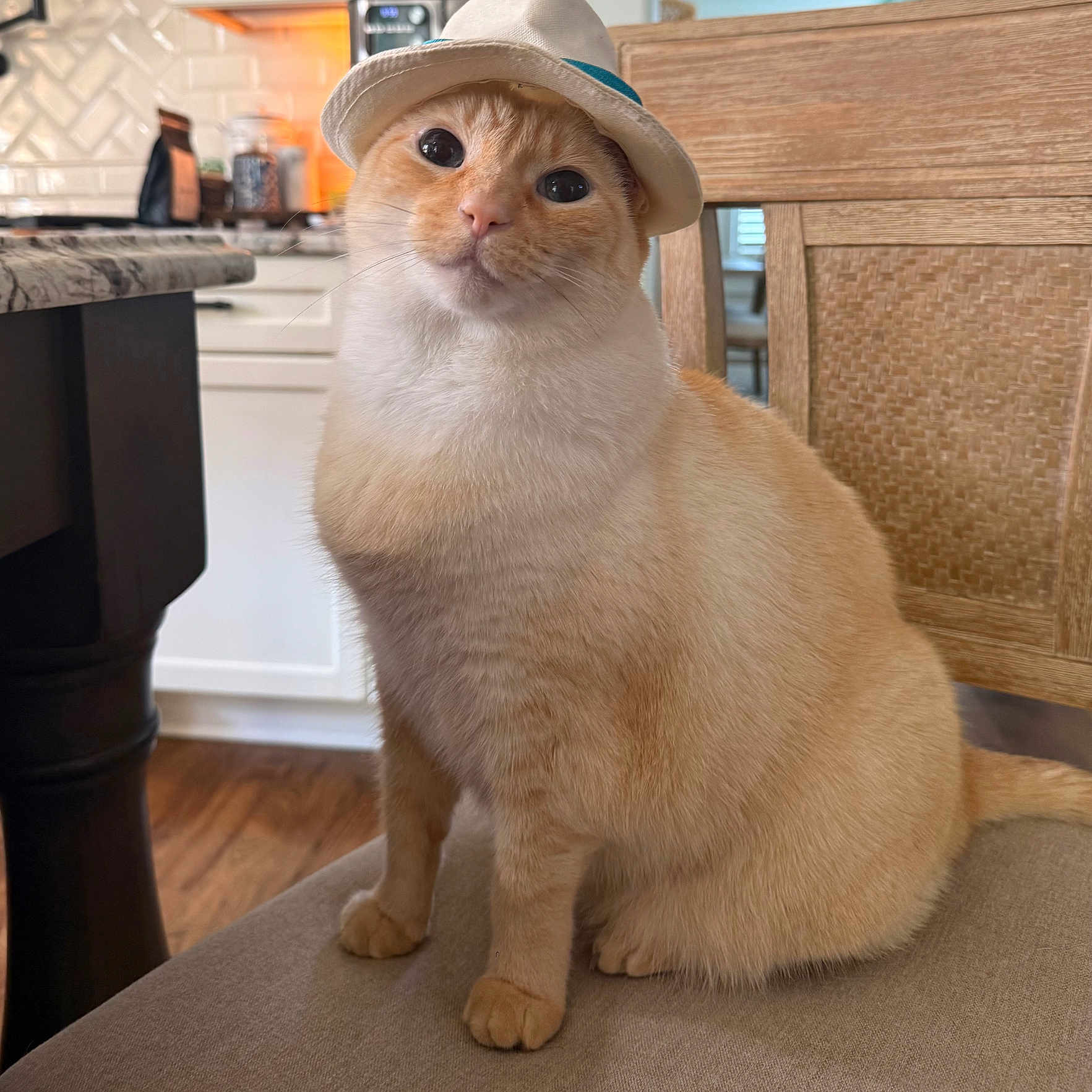 Benny Hana