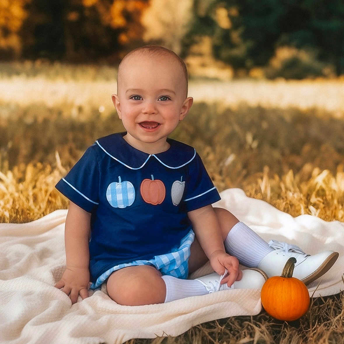 John is registered to the contest to win money with this photo: autumn, baby, blanket, blue_clothing, child, cute, fall_colors, field, grass, happy, nature, outdoor, person, portrait, pumpkin, seasonal, sitting, smiling, white_shoes, white_socks