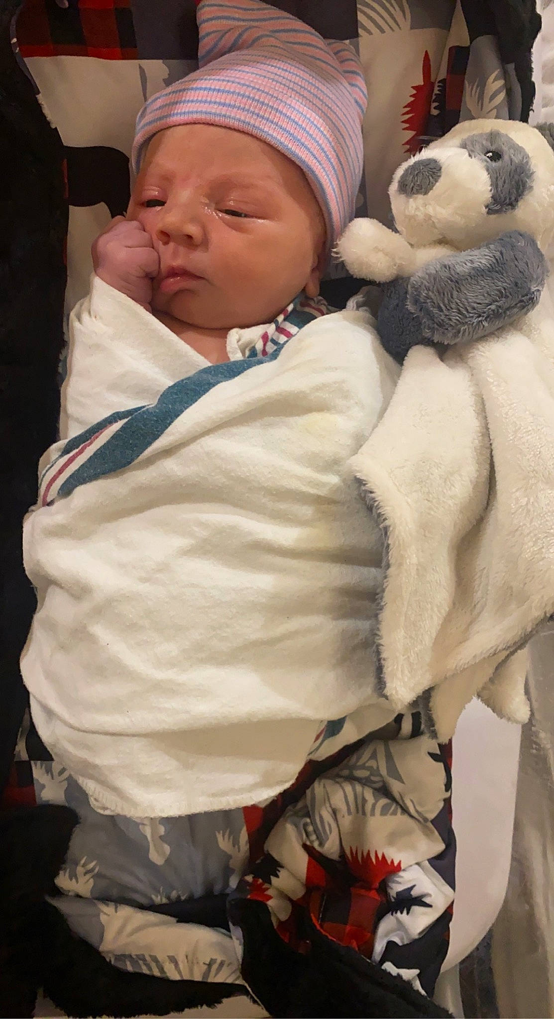 Karsyn joined the competition — help win amazing prizes! baby, baby_products, baby_sleeping, baby_toddler_clothing, cap, cheek, child, comfort, fur, happy, hat, headwear, knit_cap, outerwear, people, person, skin, teddy_bear, textile, toddler