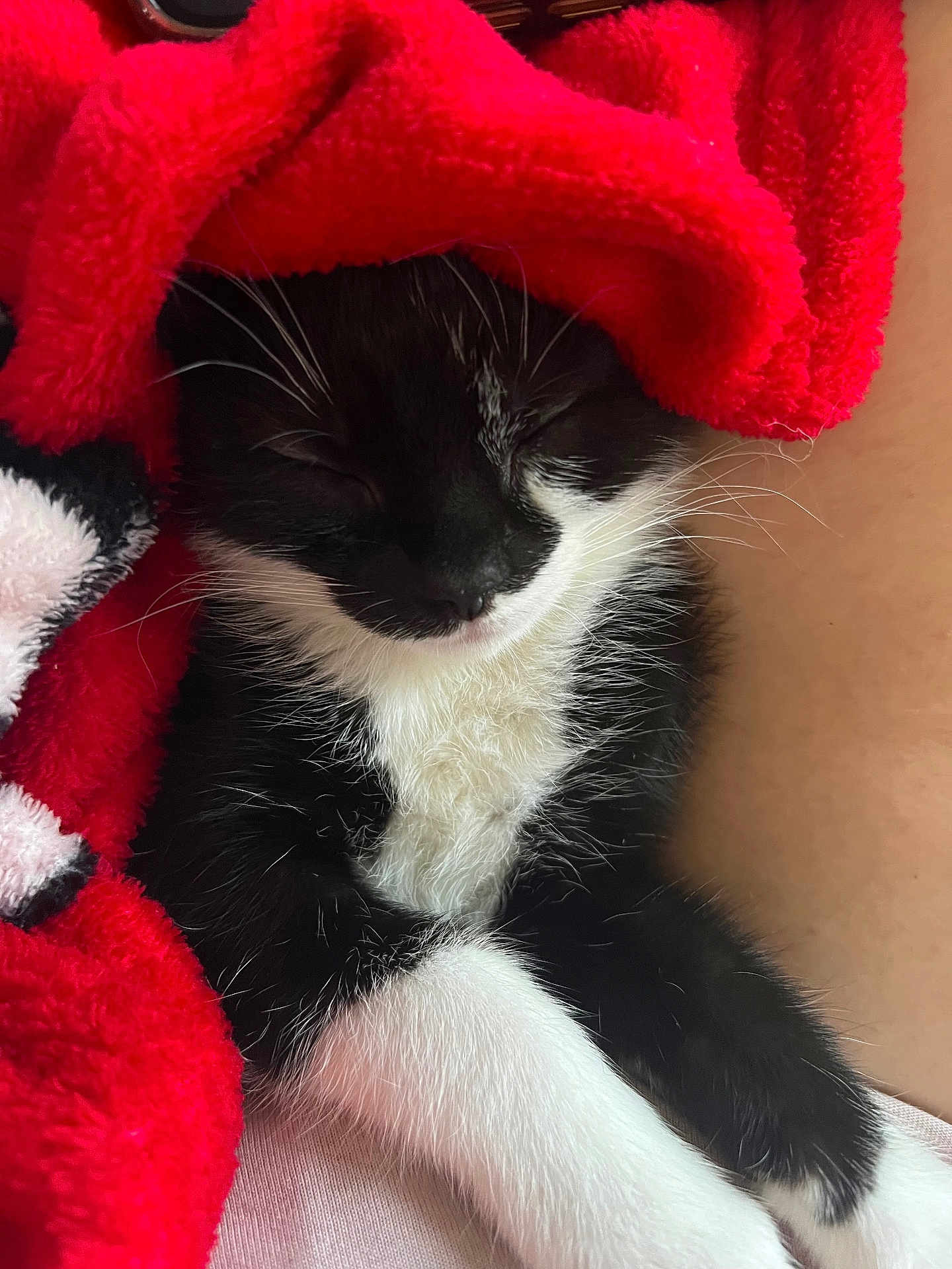 Milo